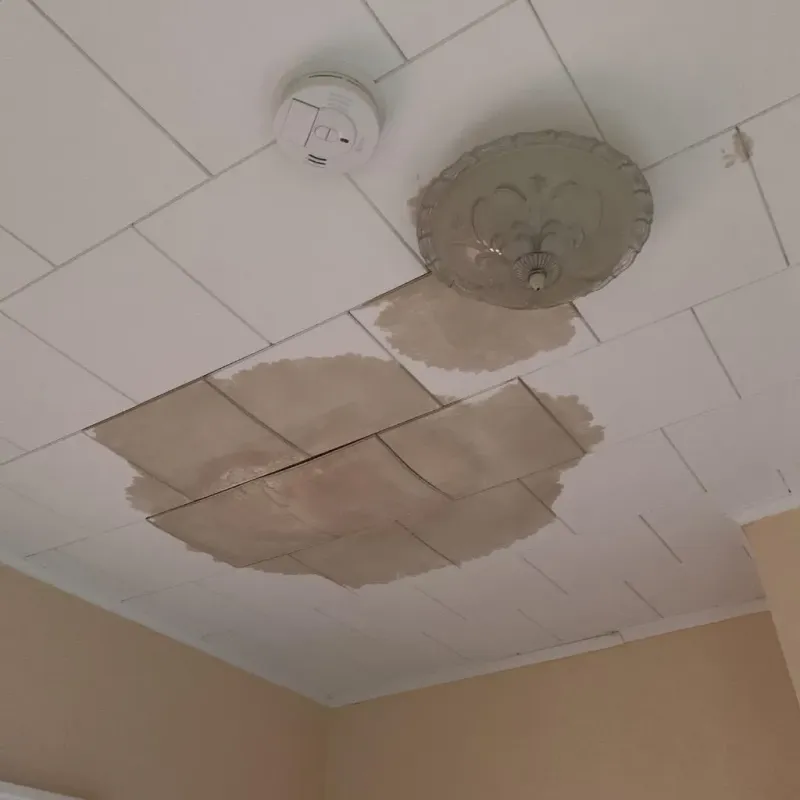 Ceiling Water Damage Repair in Clayton, DE