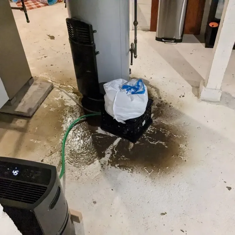 Sewage Backup Cleanup Service in Clayton, DE
